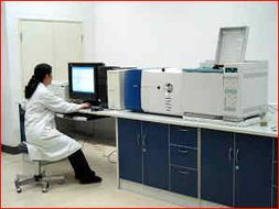 技術服務的定義、類型與價值